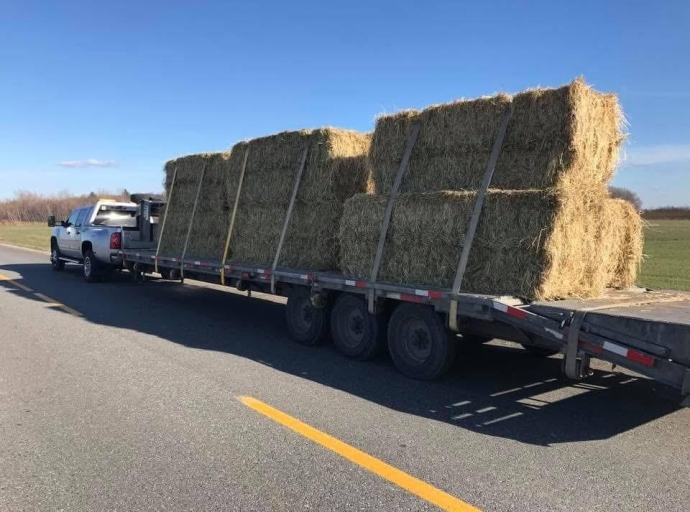 Pickups avec remorque, des nouveaux joueurs dans le transport de marchandises (suite)